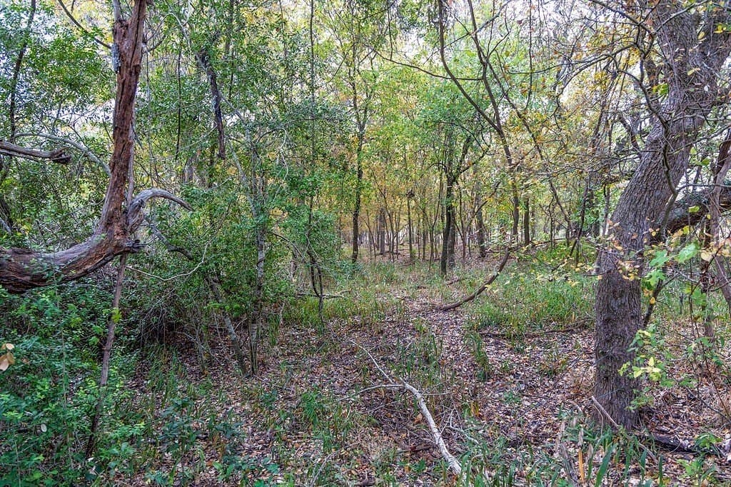 38.69 acres in Fayette County - photo 28