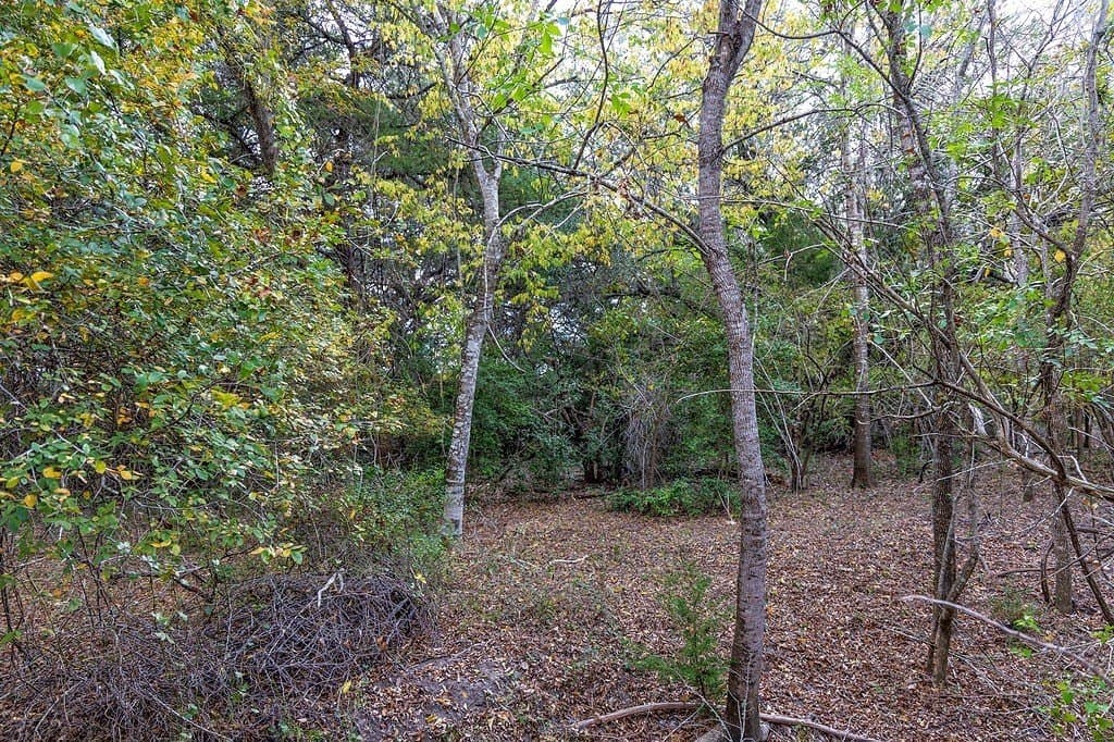 38.69 acres in Fayette County - photo 22