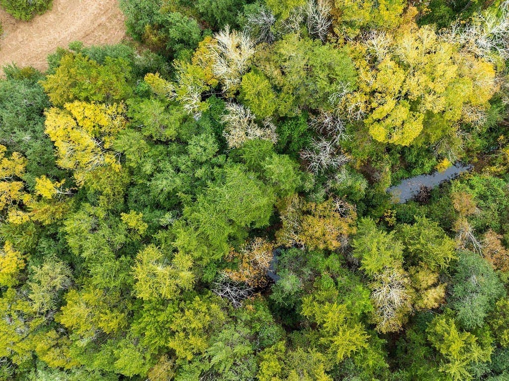 38.69 acres in Fayette County - photo 19