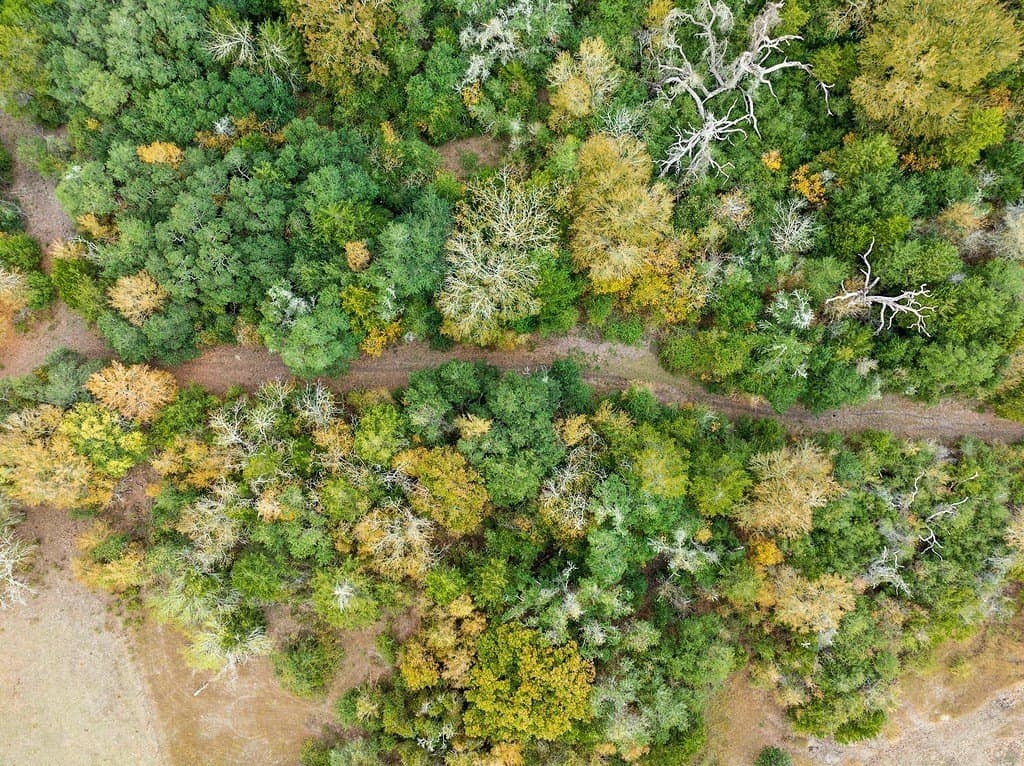 38.69 acres in Fayette County - photo 23