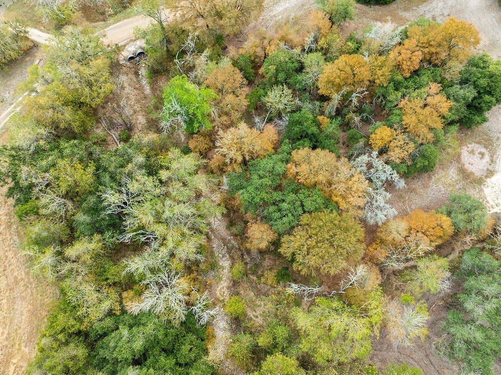 38.69 acres in Fayette County - photo 24