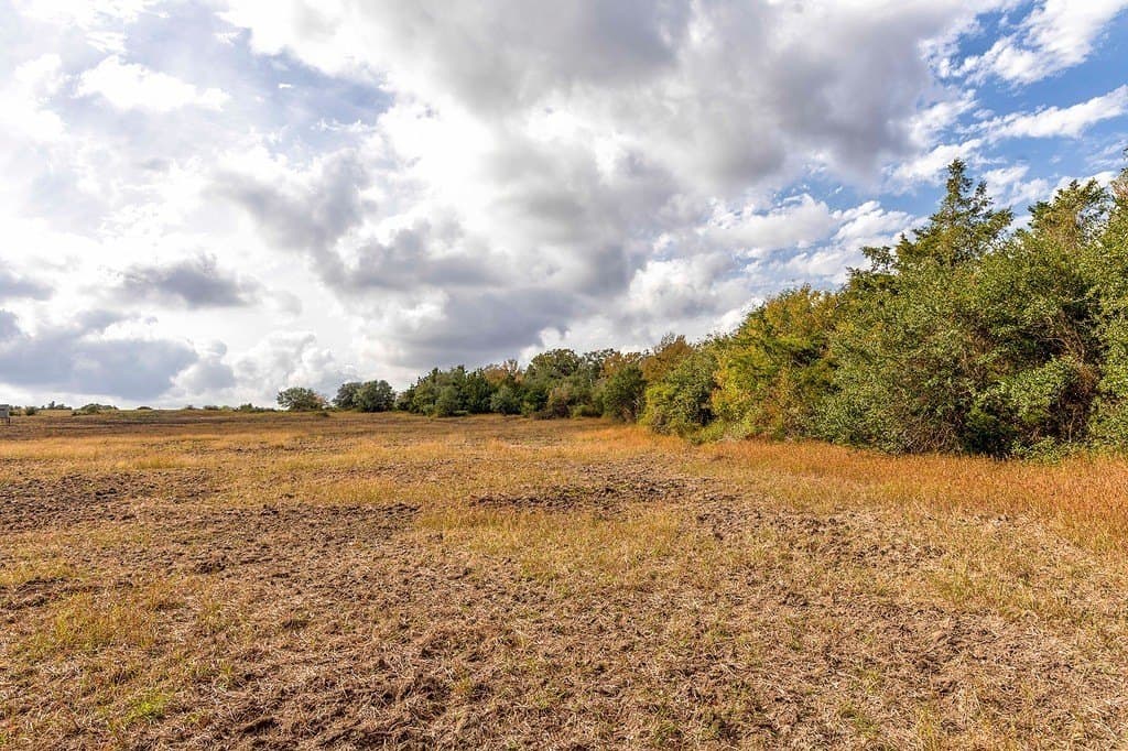 38.69 acres in Fayette County - photo 8
