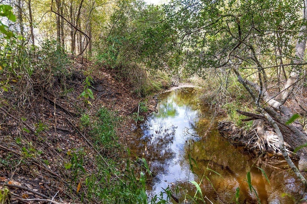 38.69 acres in Fayette County - photo 20