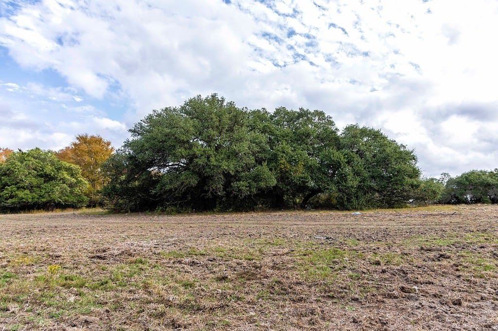 38.69 acres in Fayette County - photo 15