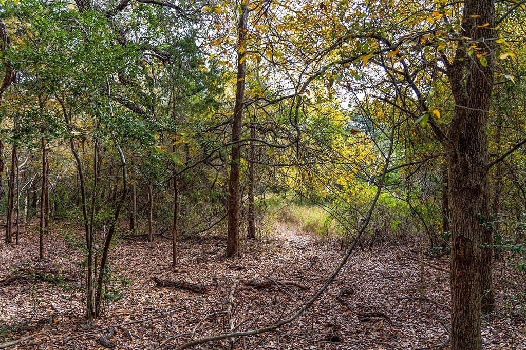 38.69 acres in Fayette County - photo 25