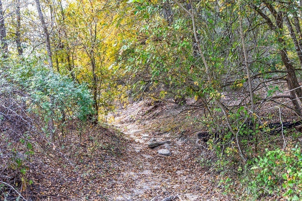 38.69 acres in Fayette County - photo 26