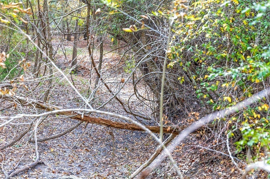 38.69 acres in Fayette County - photo 29