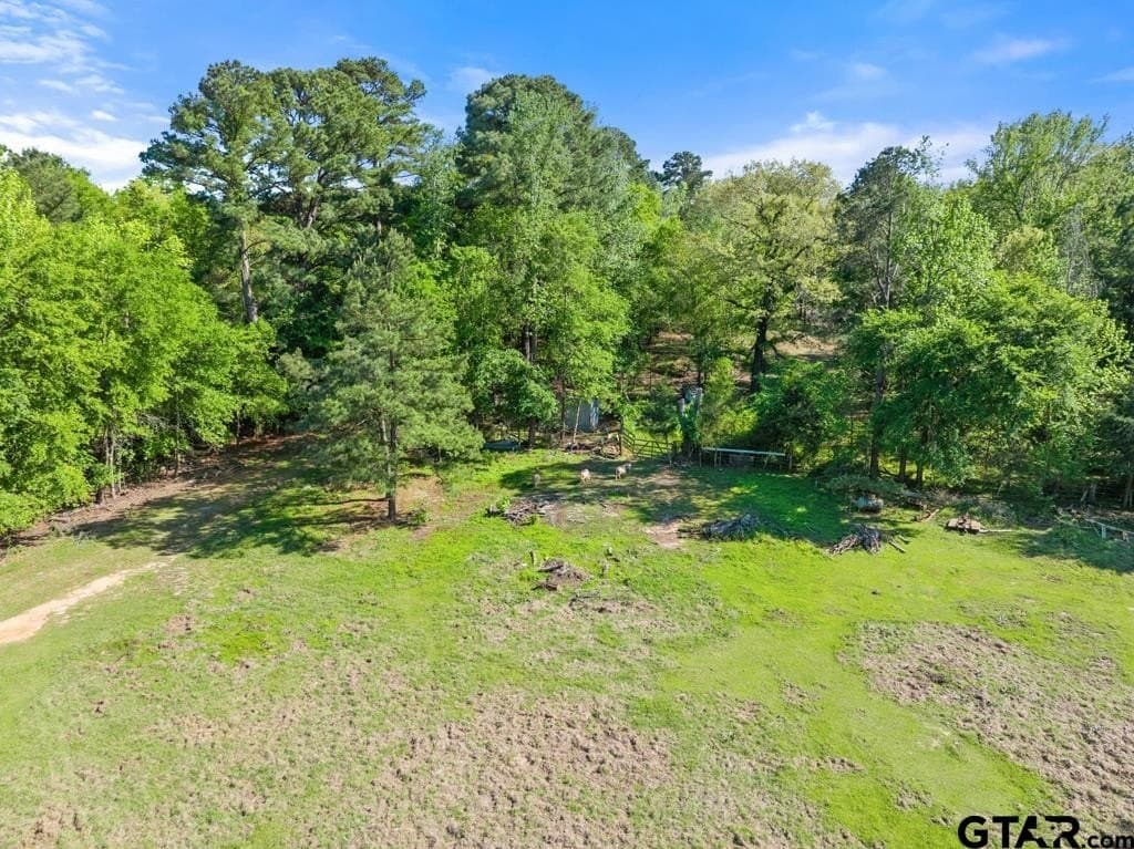 11.28 acres in Smith County - photo 11