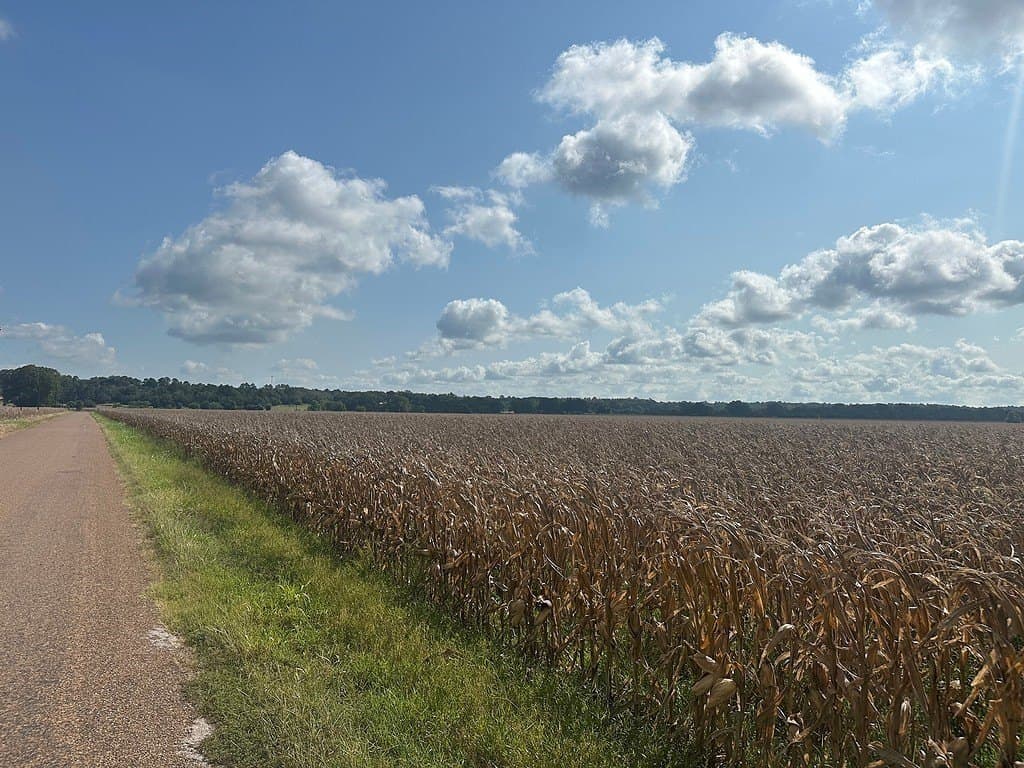 32.35 acres in Fayette County - photo 4