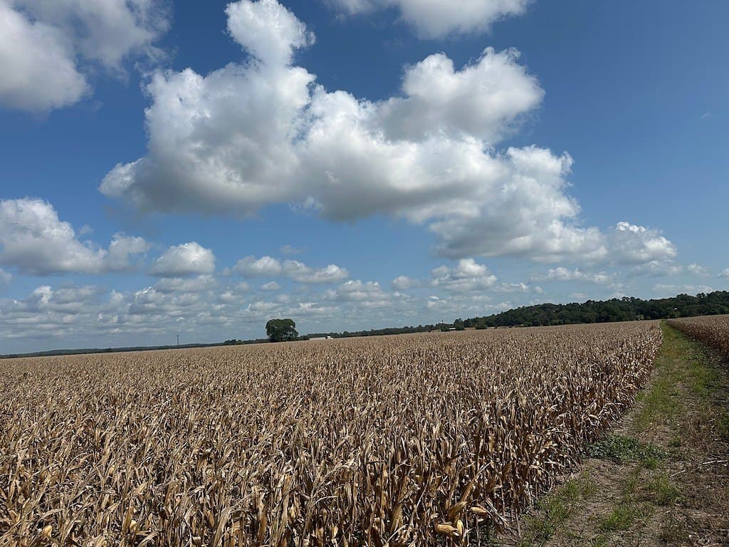 32.35 acres in Fayette County - photo 5