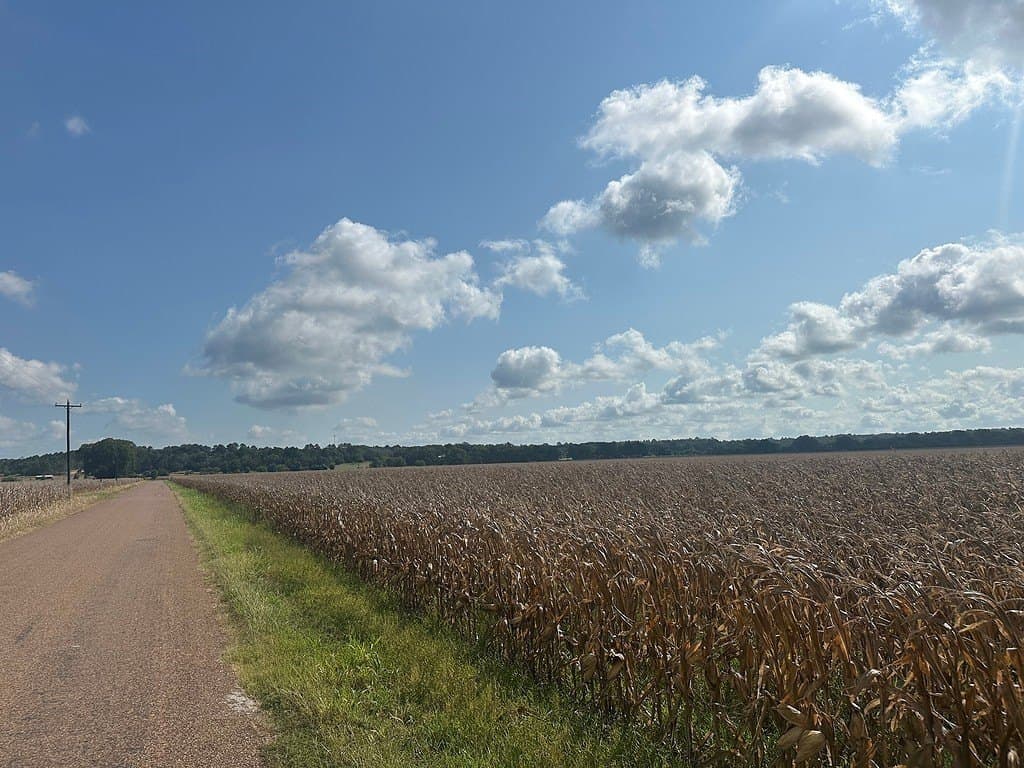 32.35 acres in Fayette County - photo 13