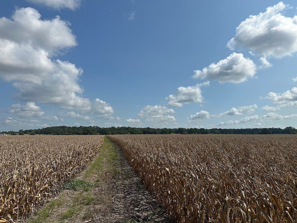 32.35 acres in Fayette County - photo 3