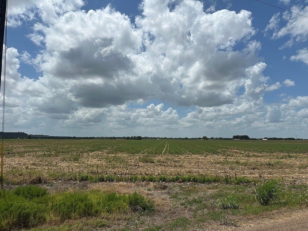 32.35 acres in Fayette County - photo 9