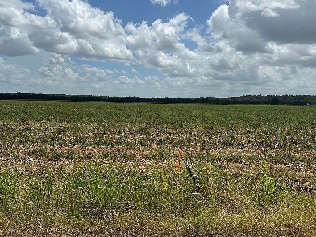 32.35 acres in Fayette County - photo 6