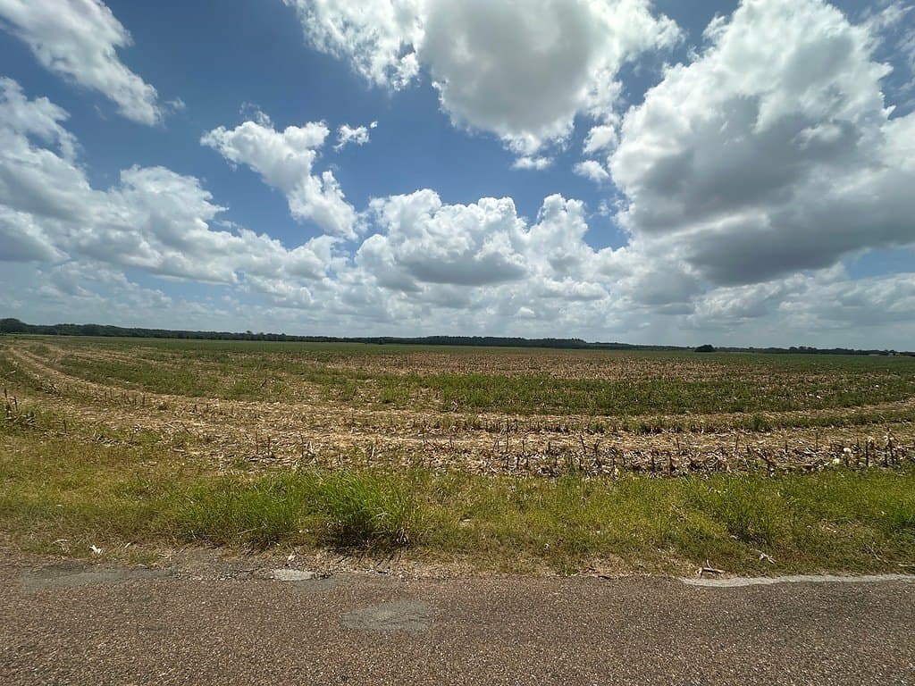32.35 acres in Fayette County - photo 8