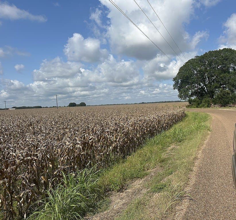 32.35 acres in Fayette County - photo 2