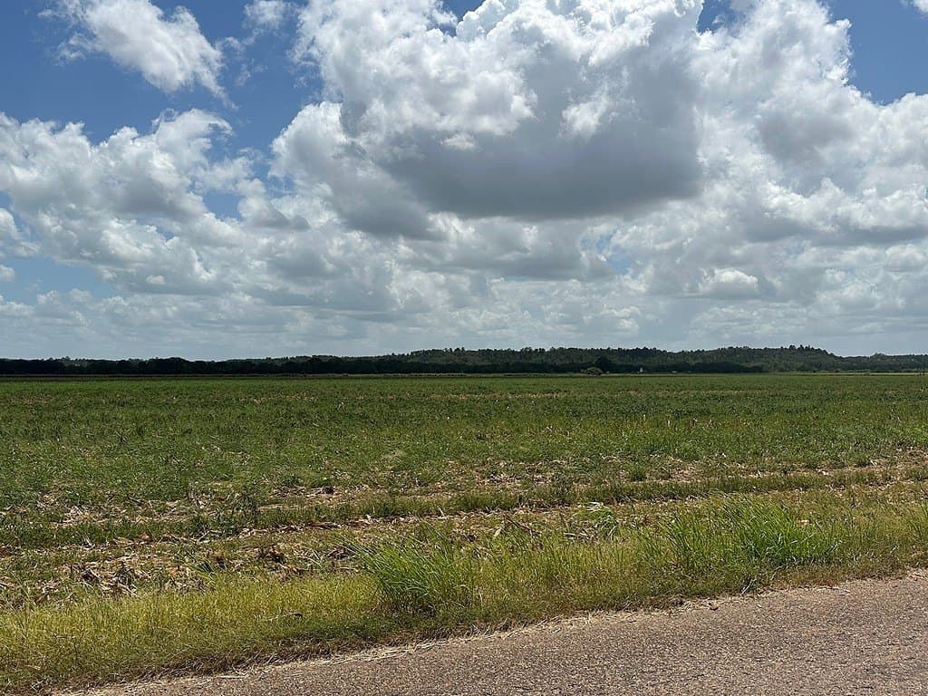 32.35 acres in Fayette County - photo 7