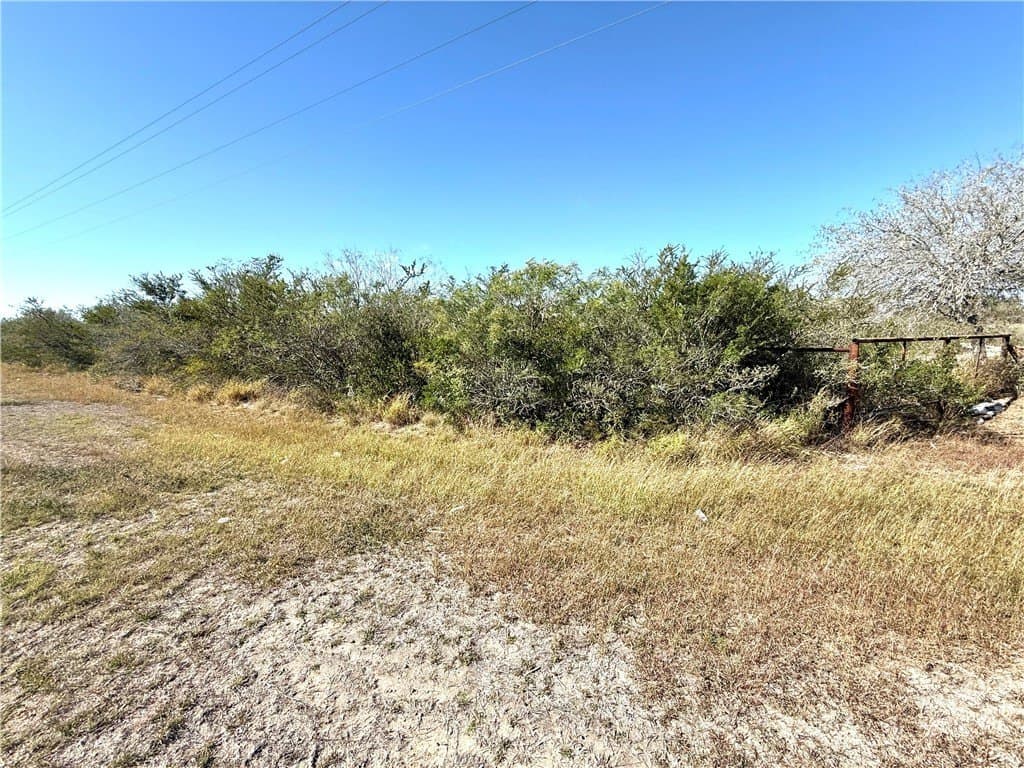 130 acres in Duval County - photo 6