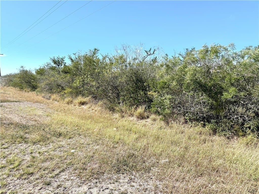 130 acres in Duval County - photo 4