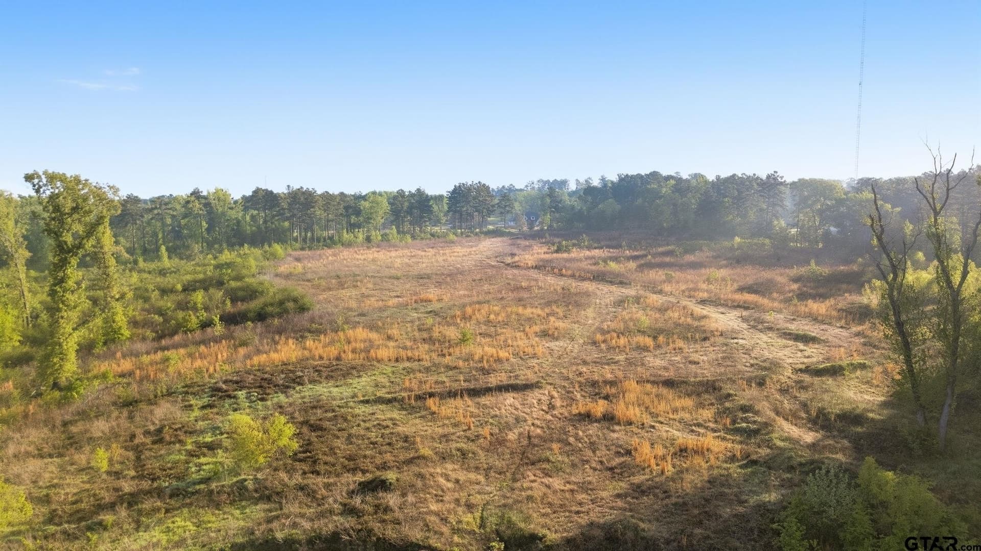 26.96 acres in Smith County gallery image 4