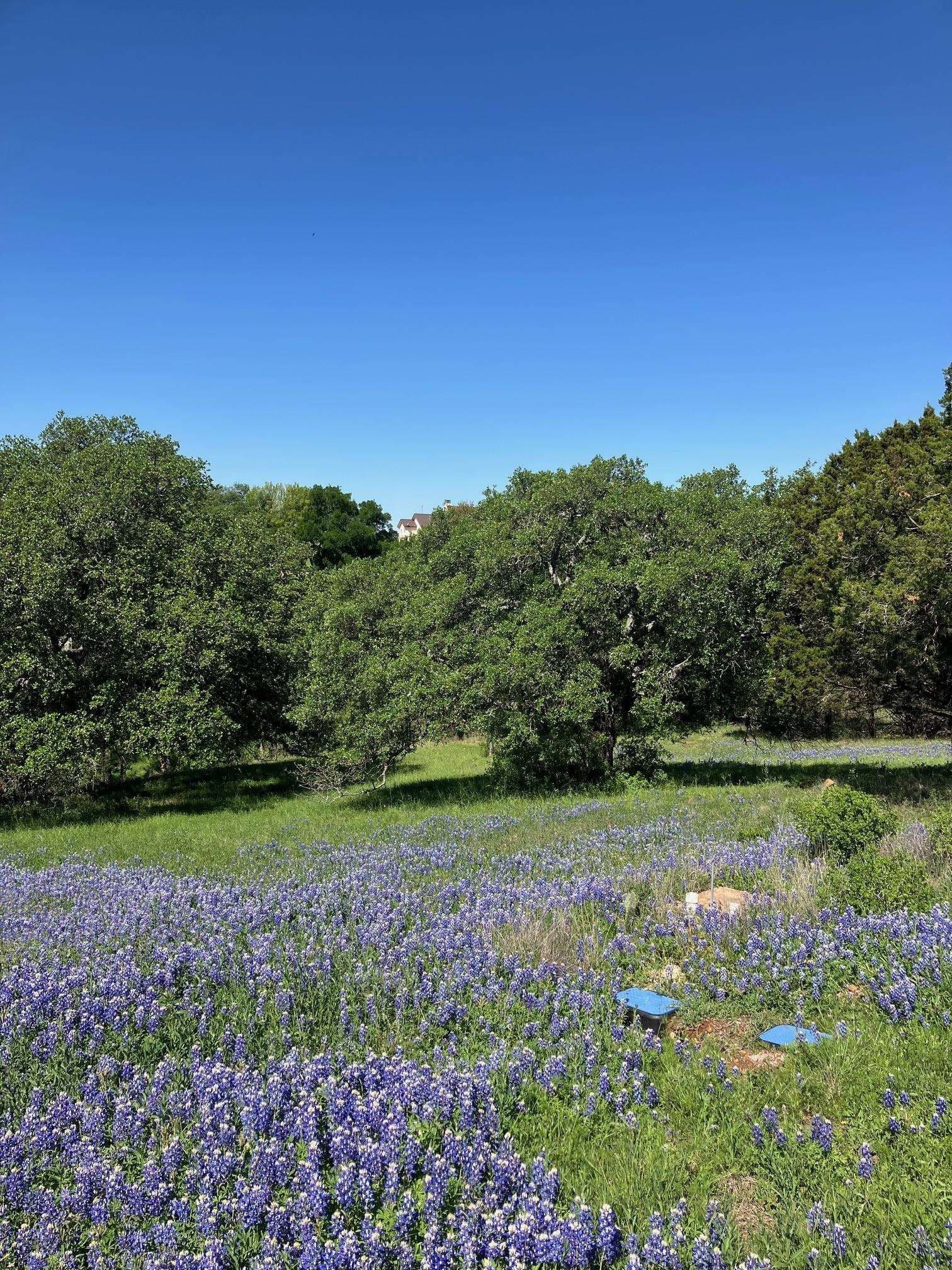 0.38 acres in Llano County gallery image 2