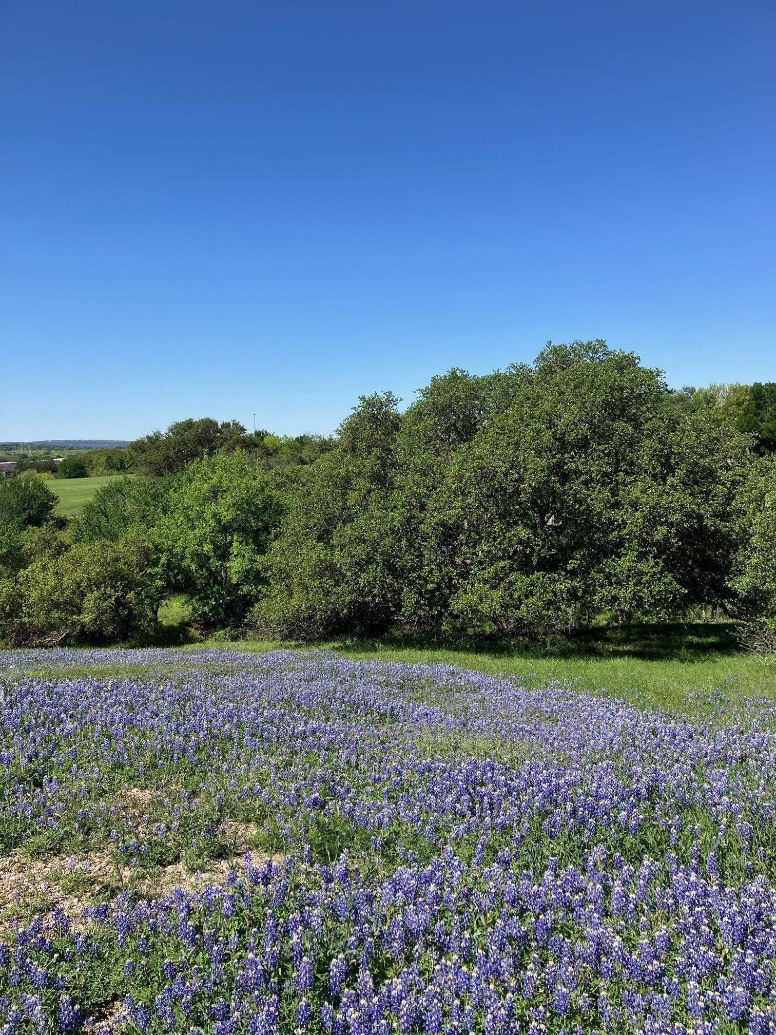 0.38 acres in Llano County gallery image 3