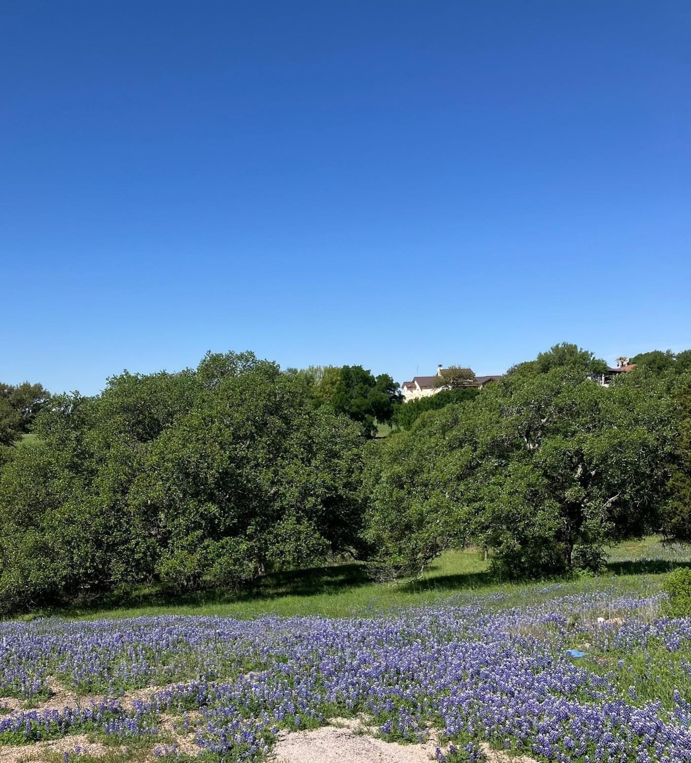 0.38 acres in Llano County gallery image 4