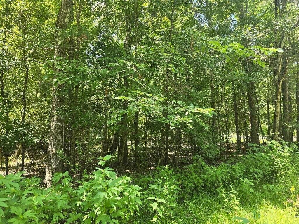 5.37 acres in Texas County - photo 3