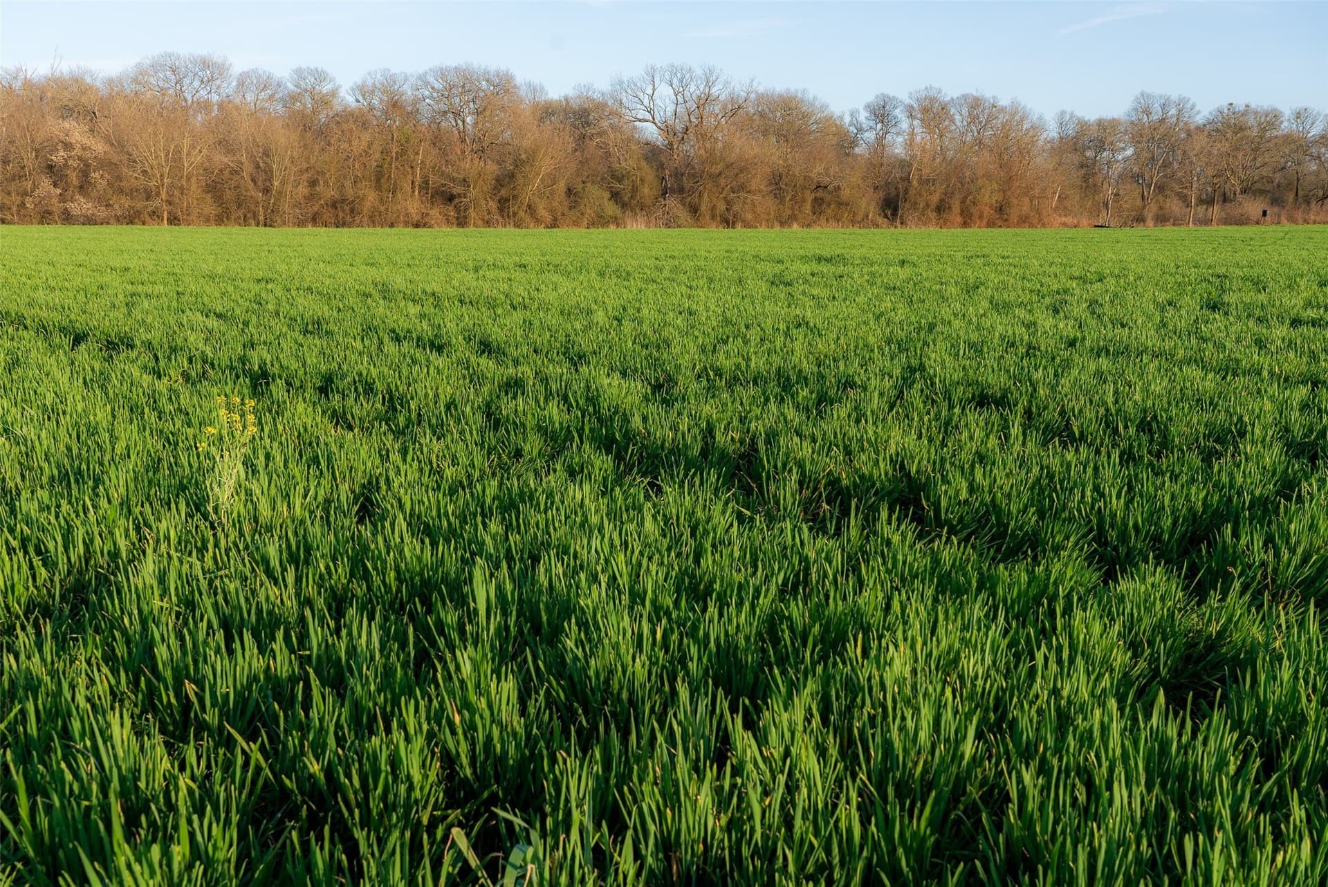 130.17 acres in Ellis County - photo 38
