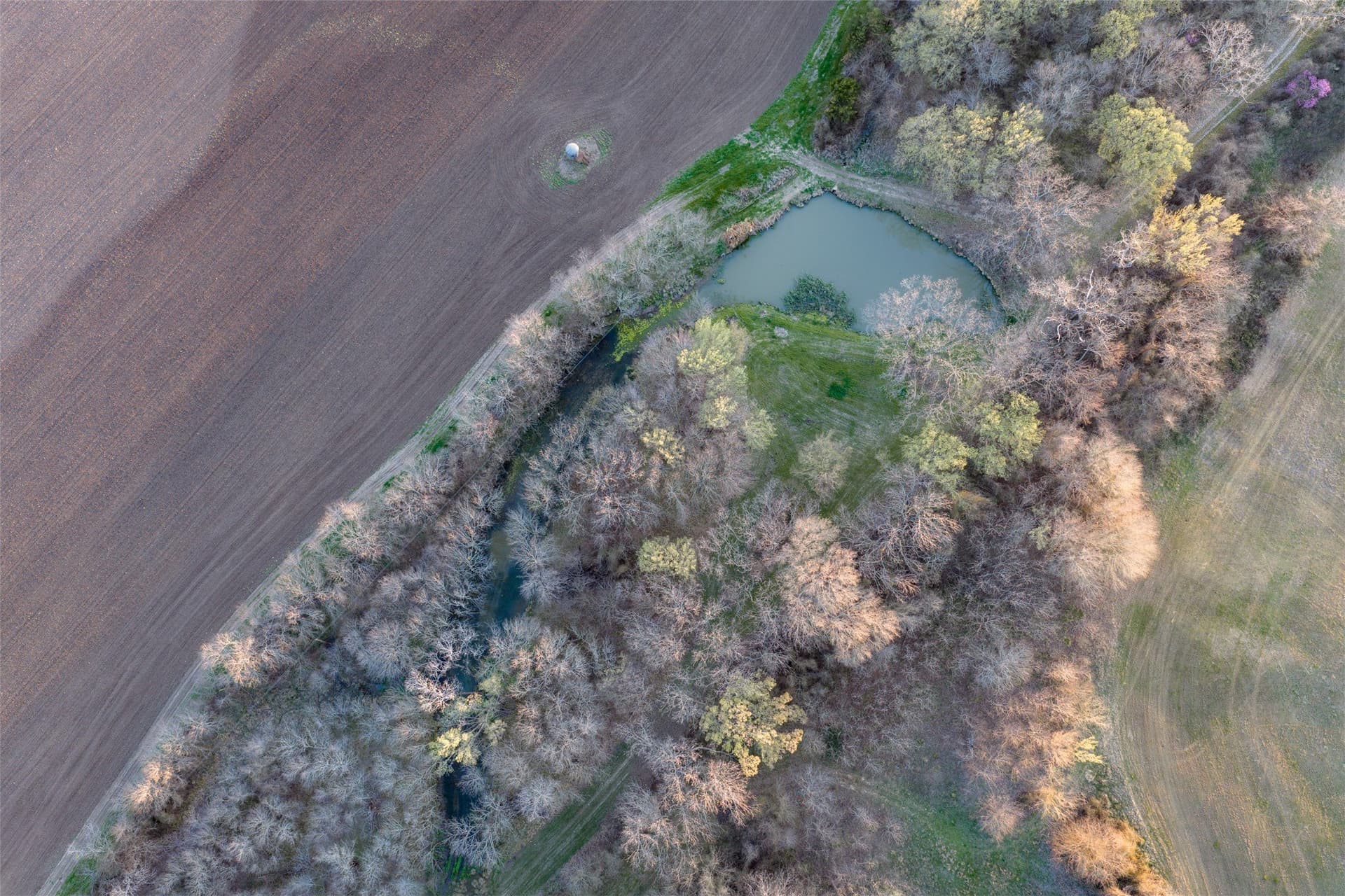 130.17 acres in Ellis County - photo 13