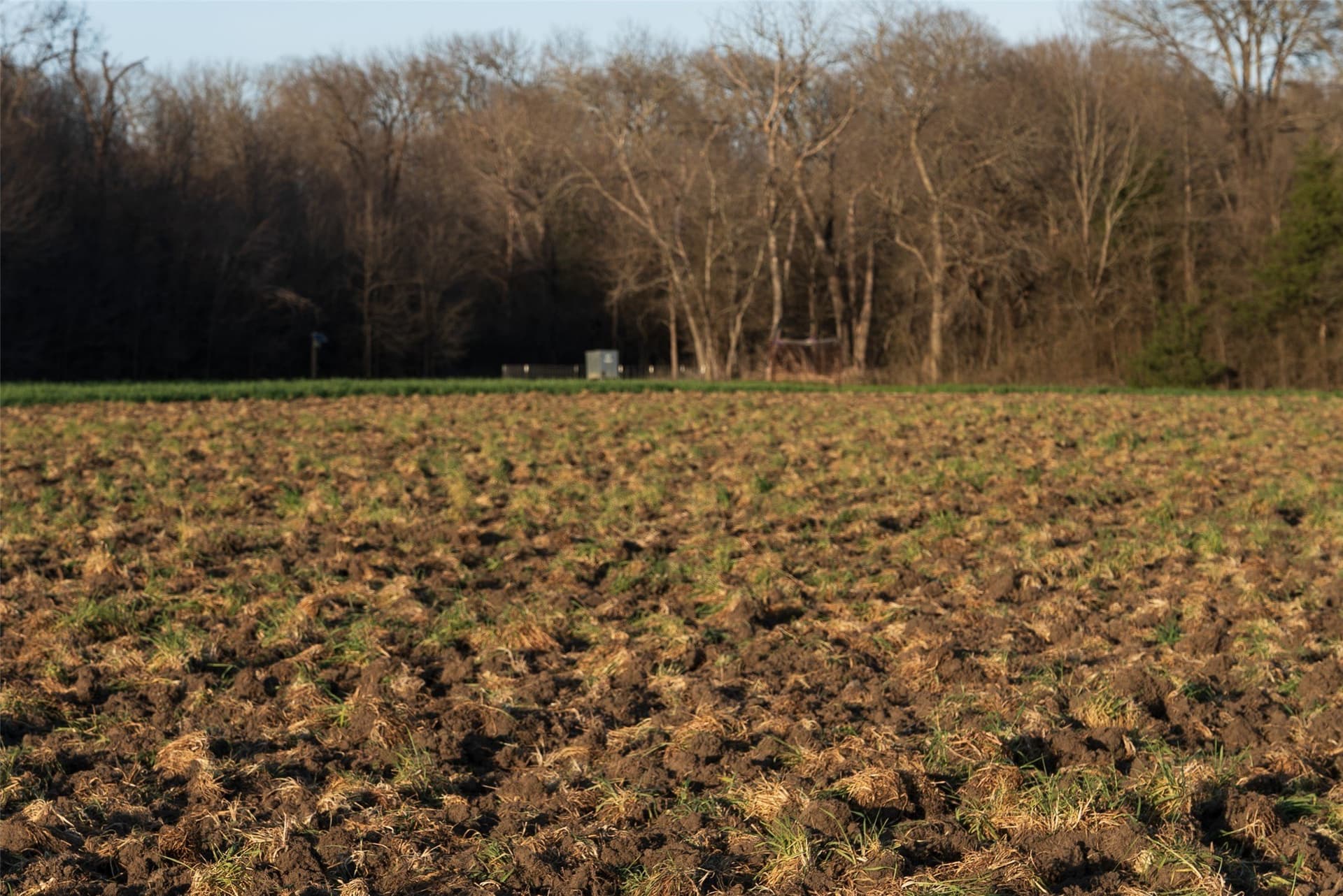 130.17 acres in Ellis County - photo 32
