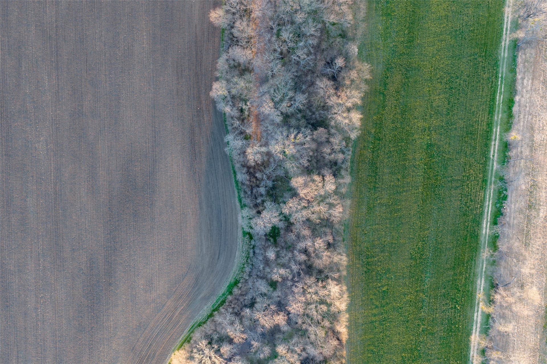 130.17 acres in Ellis County - photo 39