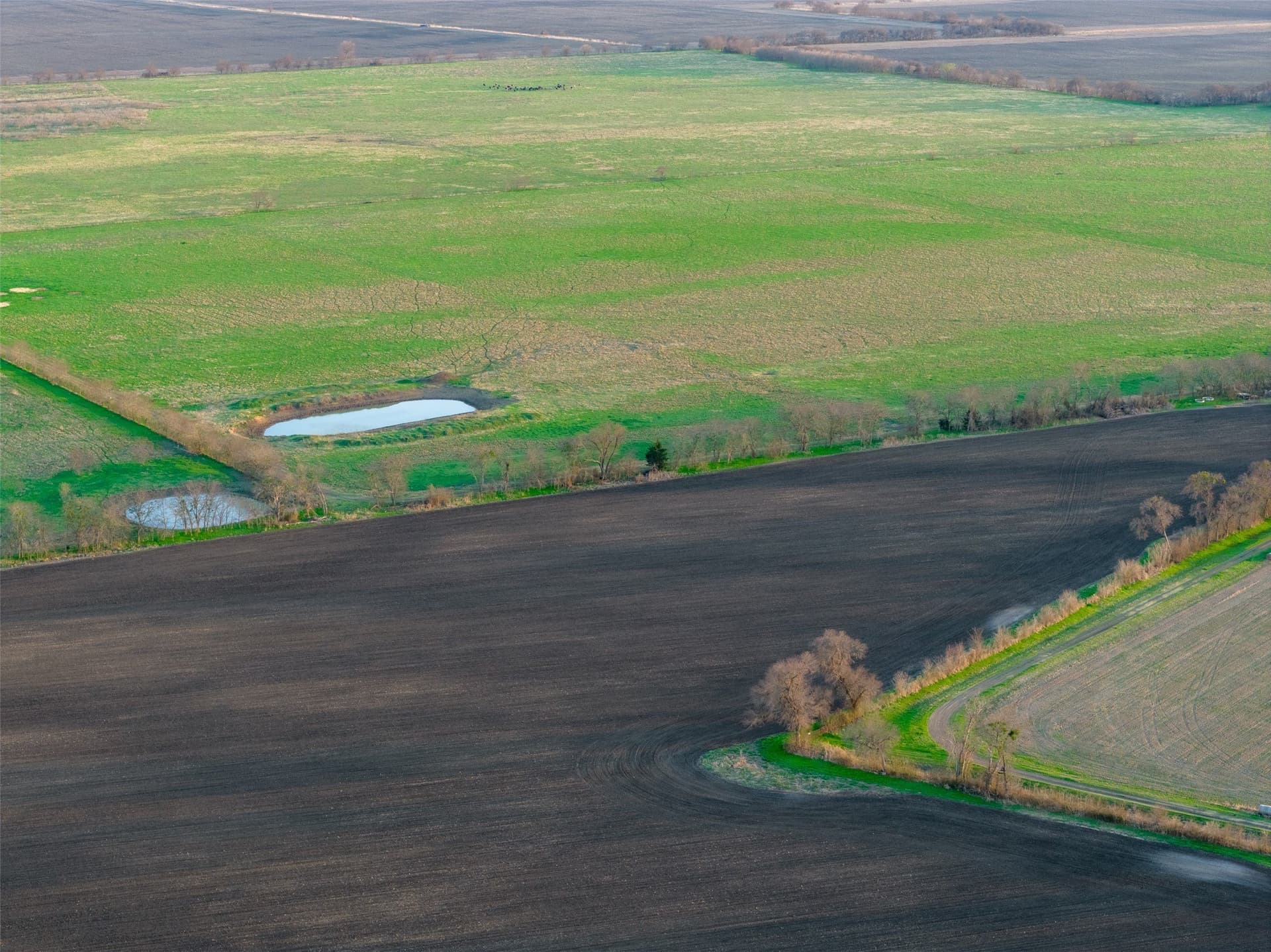 130.17 acres in Ellis County - photo 30