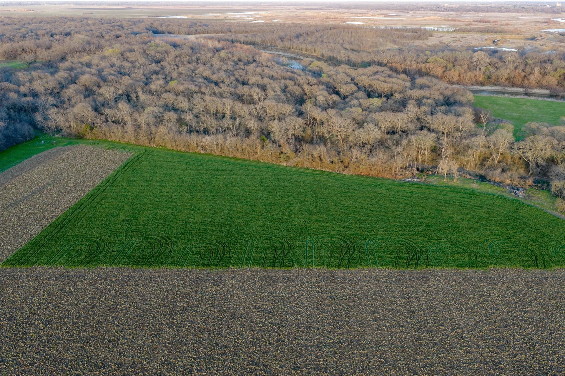 130.17 acres in Ellis County - photo 27