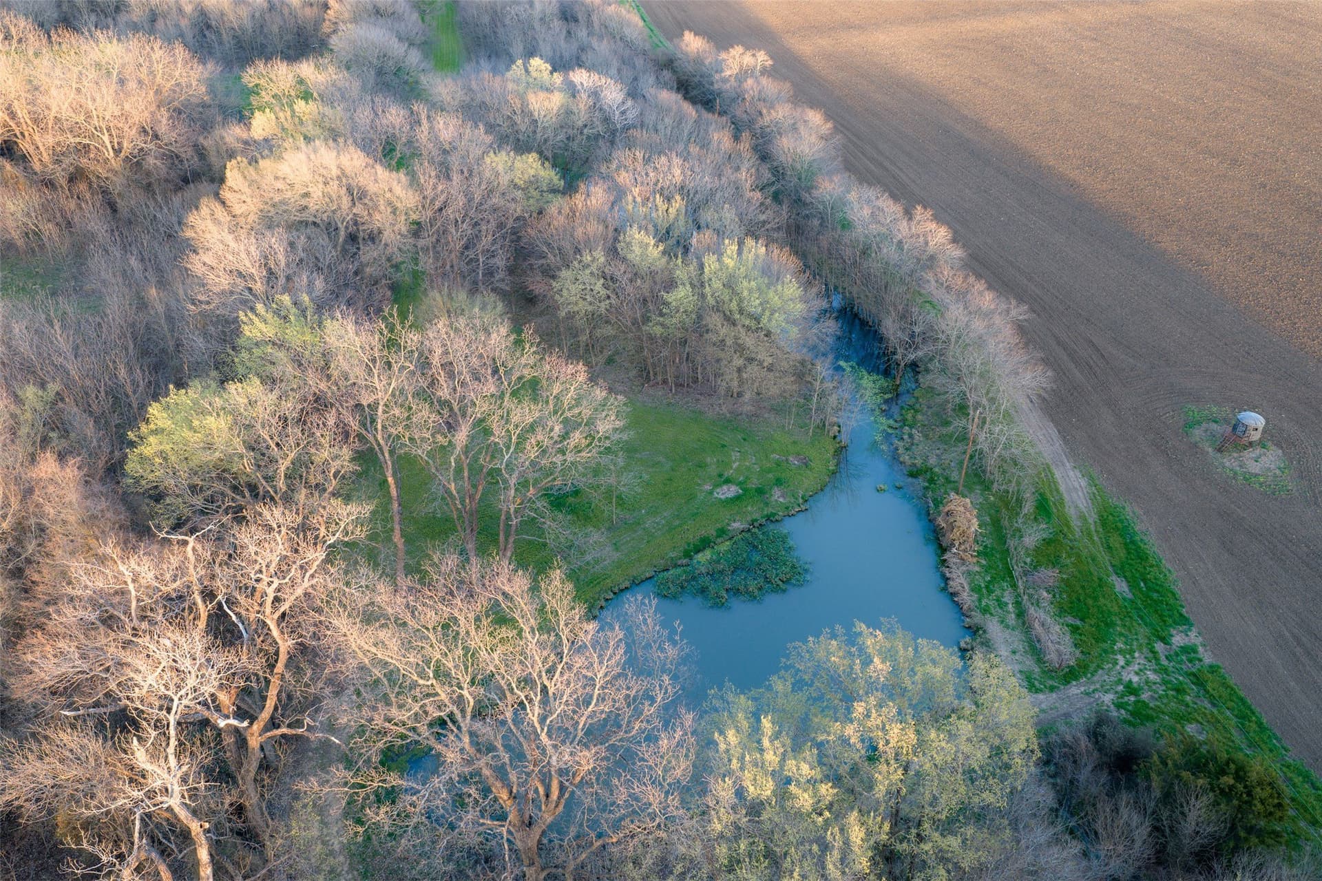 130.17 acres in Ellis County - photo 15