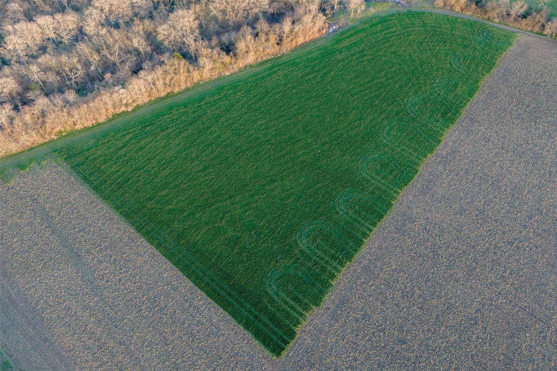 130.17 acres in Ellis County - photo 17