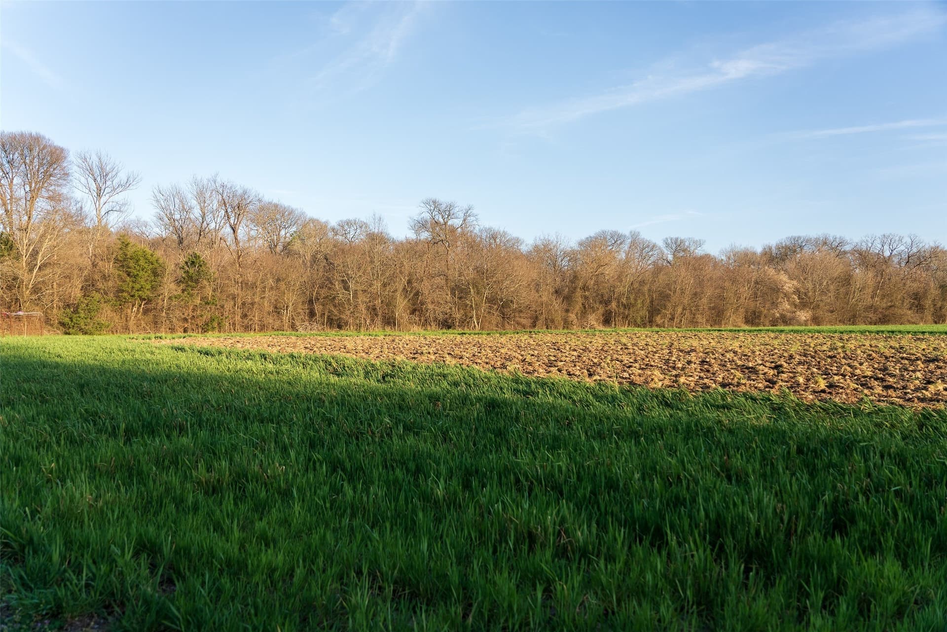 130.17 acres in Ellis County - photo 34