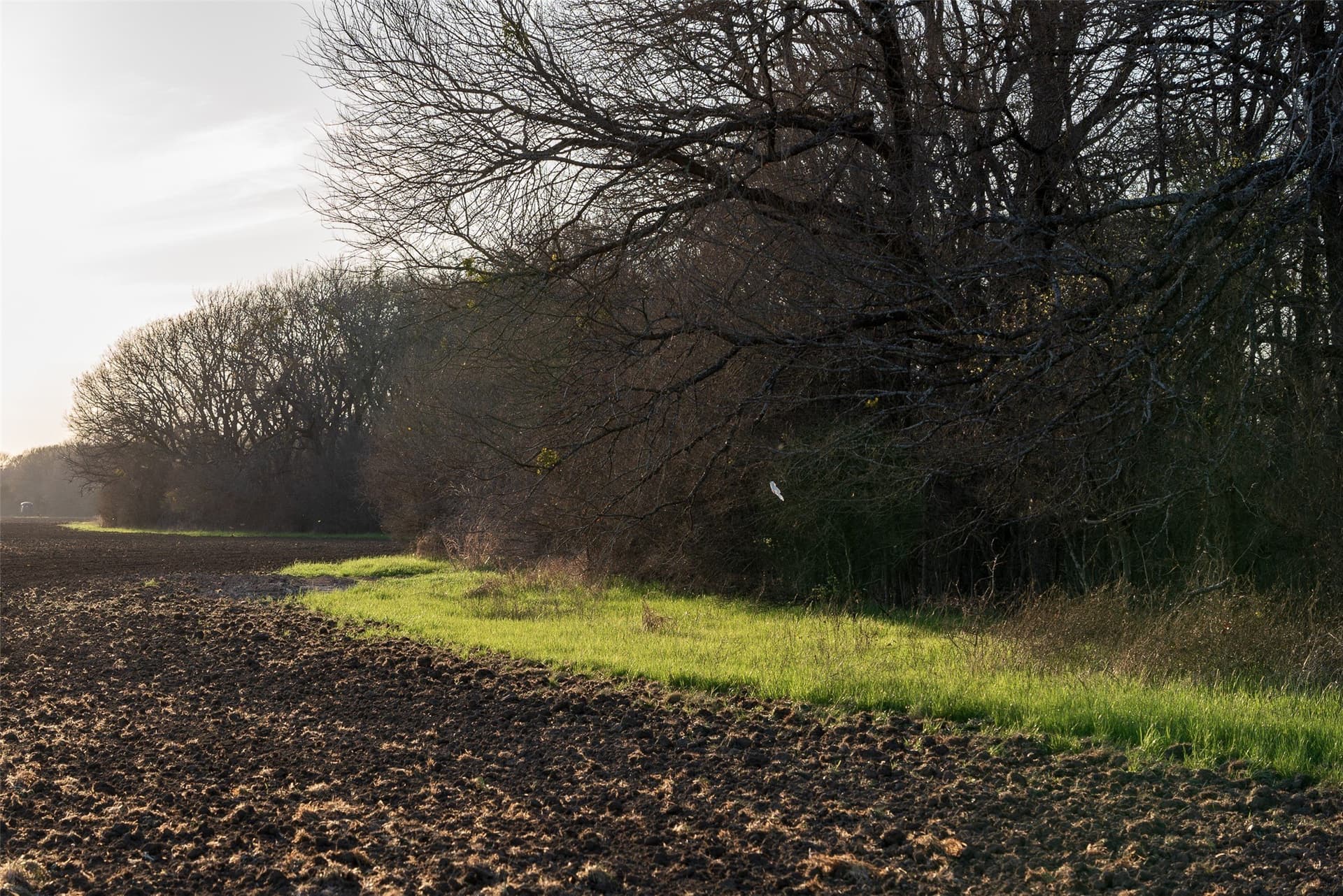 130.17 acres in Ellis County - photo 33