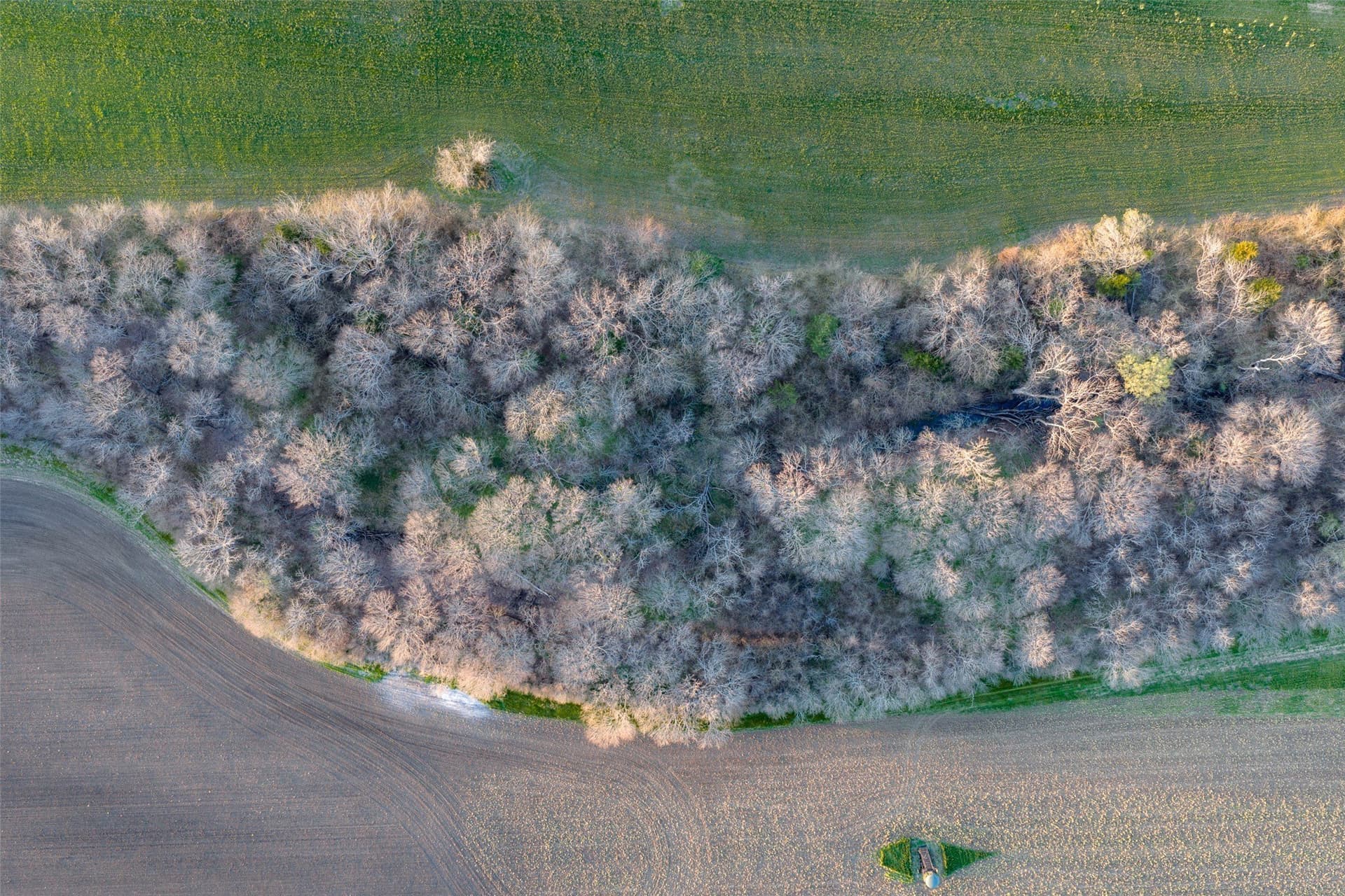 130.17 acres in Ellis County - photo 4