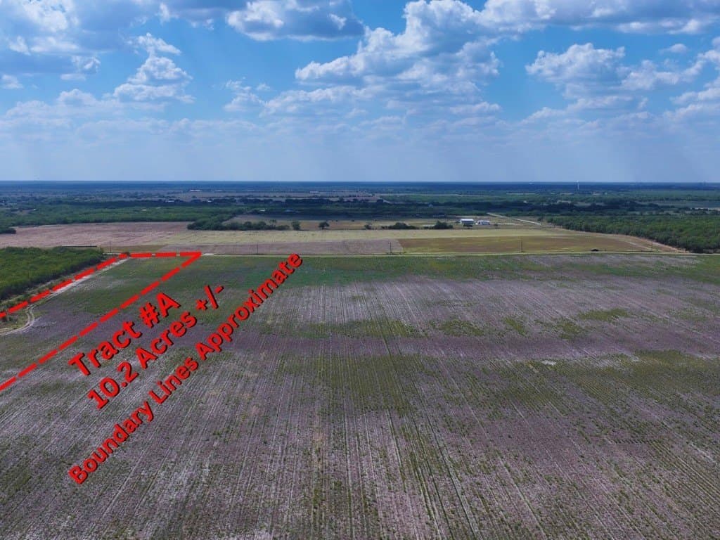12.4 acres in Kleberg County gallery image 3