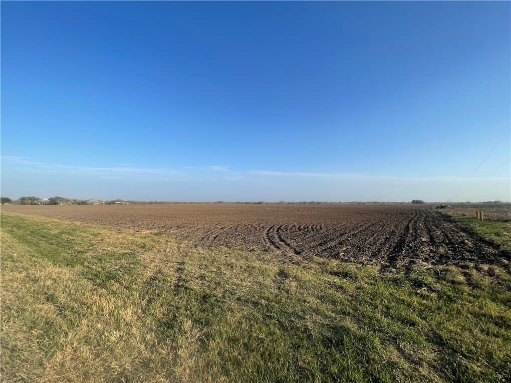 9 acres in San Patricio County gallery image 3