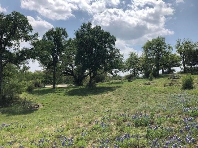 1.56 acres in Llano County gallery image 4