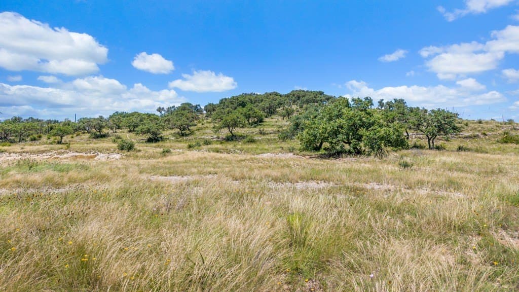 71.47 acres in Blanco County - photo 7