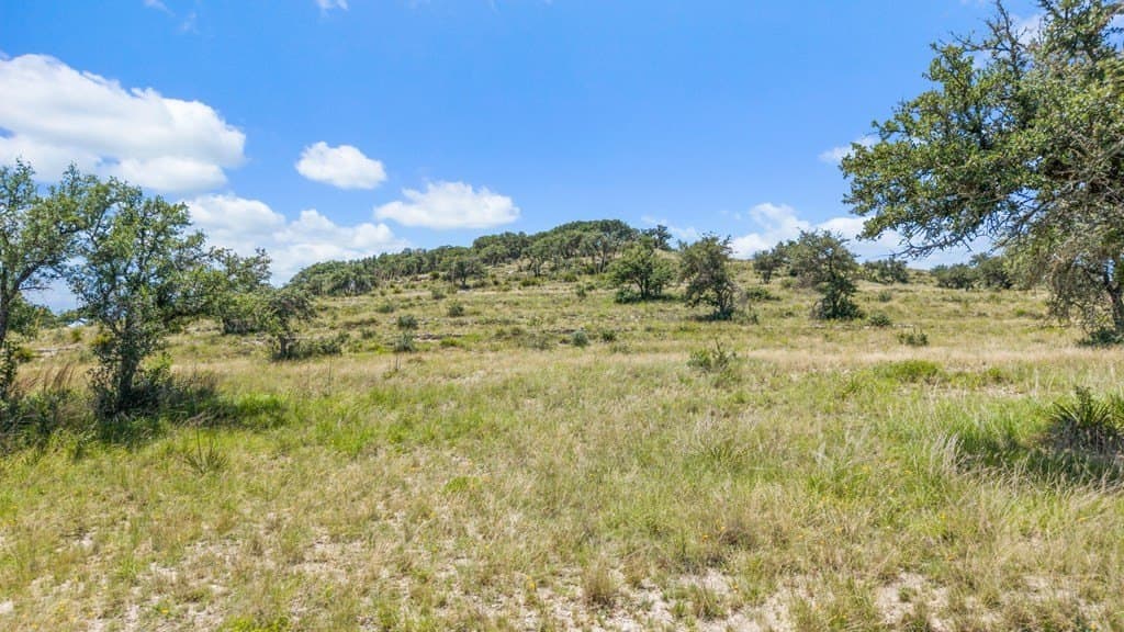 71.47 acres in Blanco County - photo 8