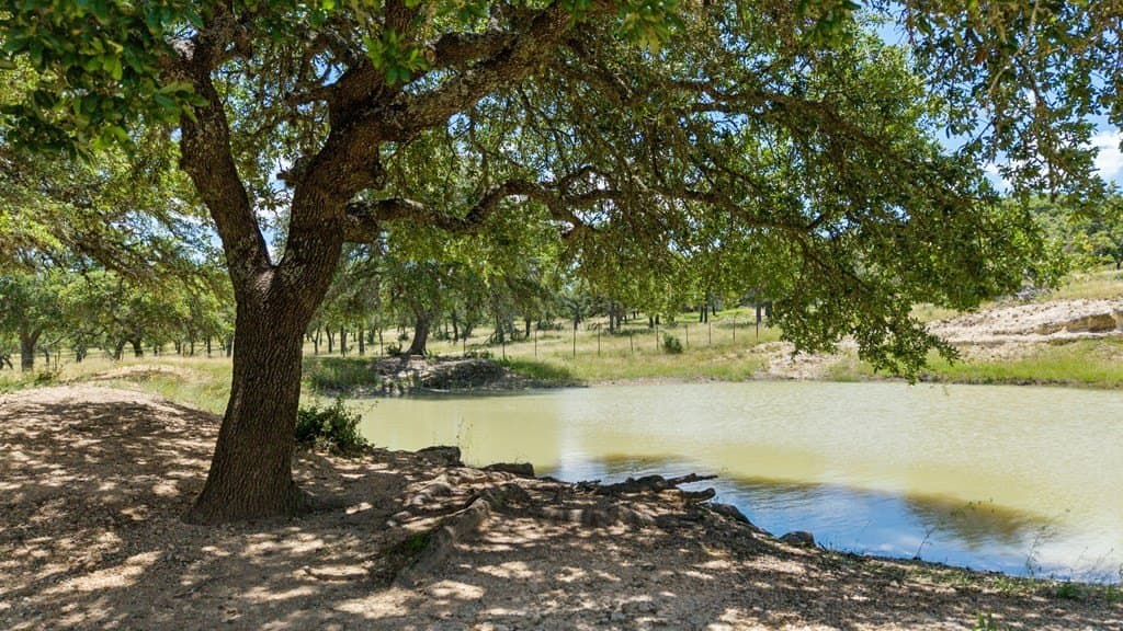 71.47 acres in Blanco County gallery image 2