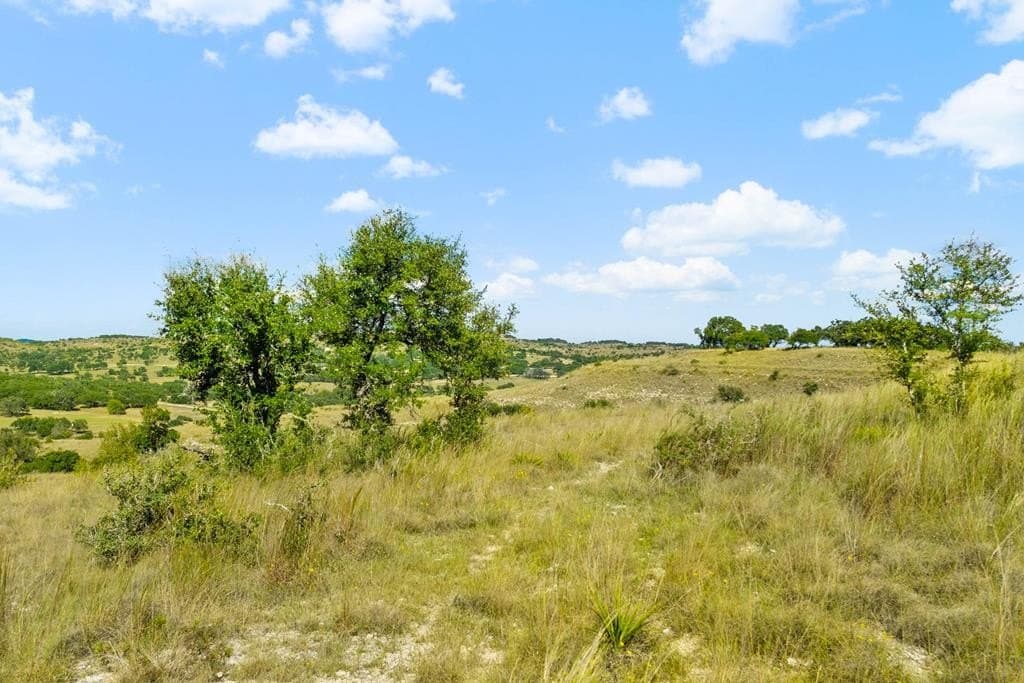 71.47 acres in Blanco County - photo 38