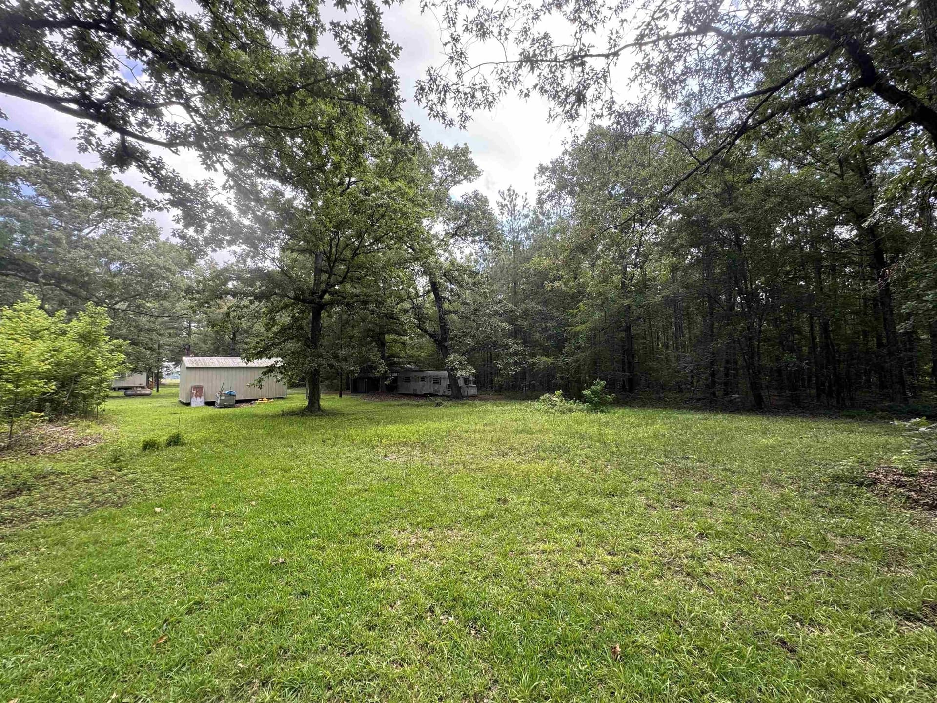 10 acres in Panola County gallery image 3