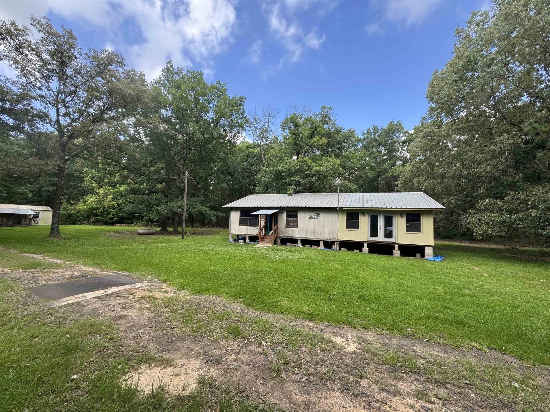 10 acres in Panola County gallery image 4