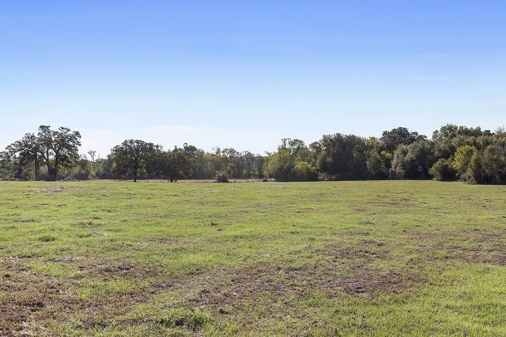 72.14 acres in Bastrop County gallery image 2