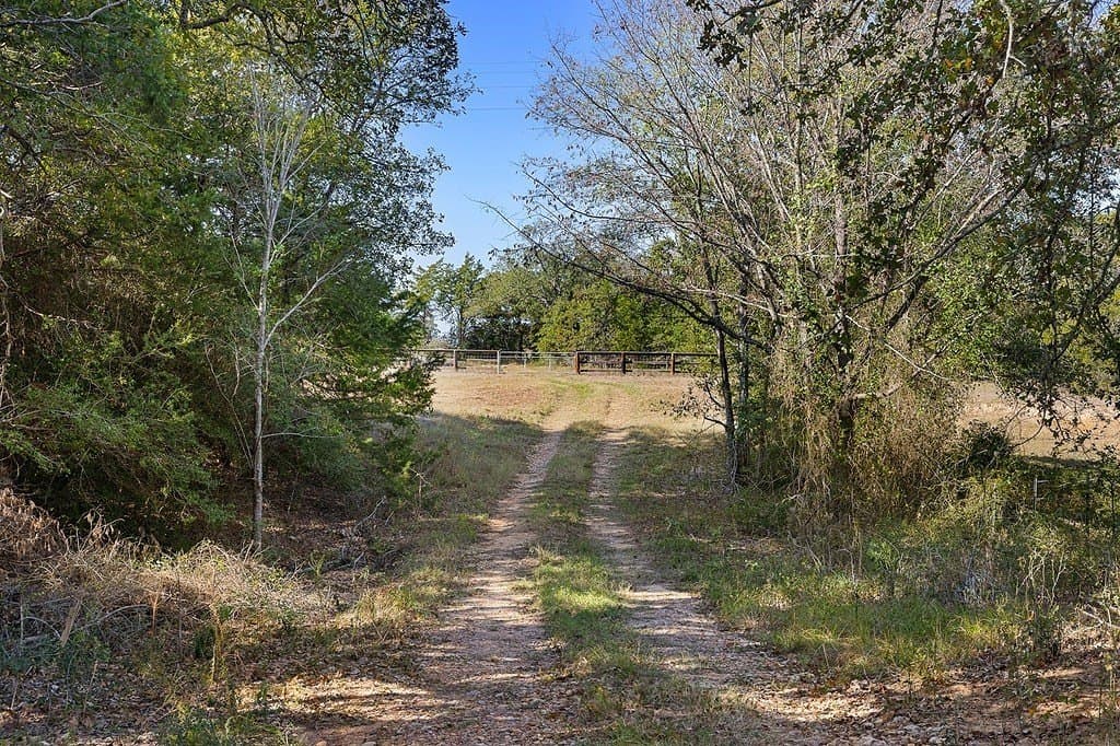 72.14 acres in Bastrop County gallery image 3